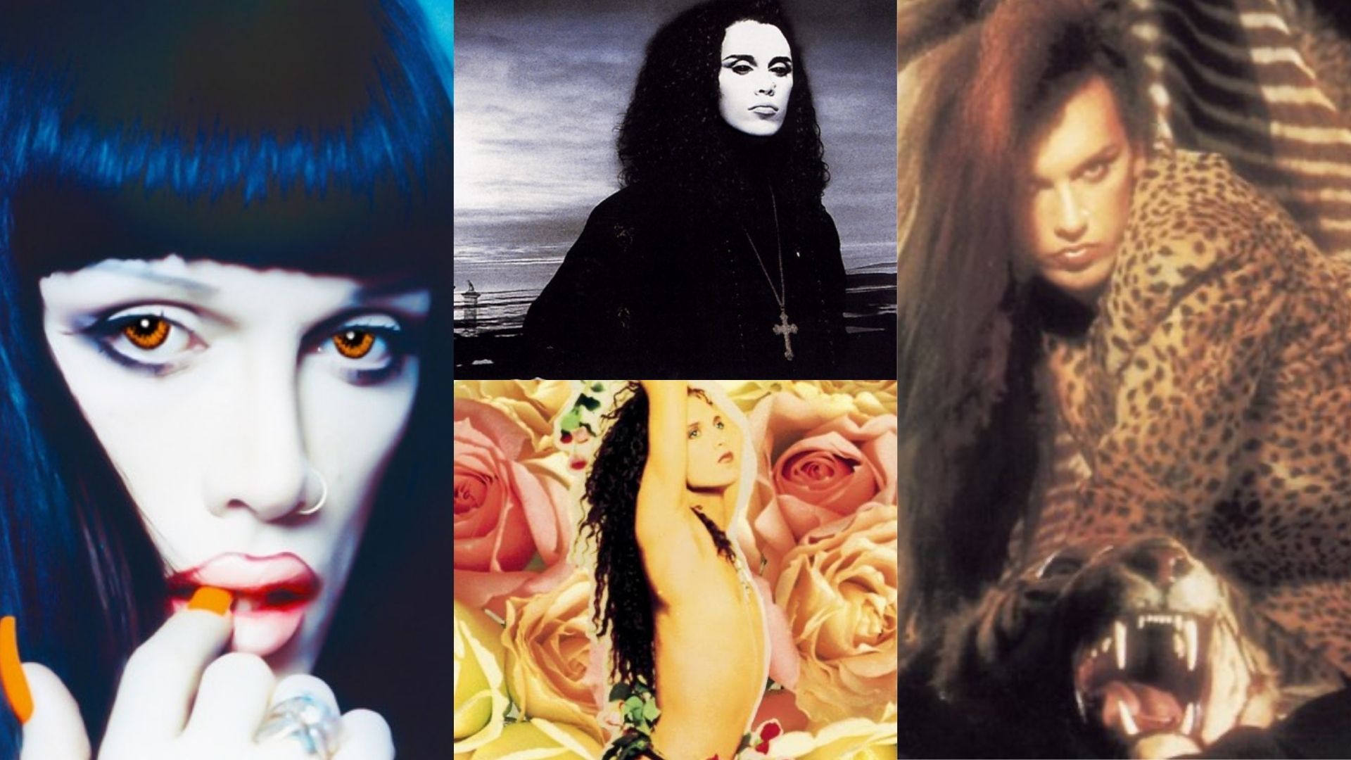 Dead Or Alive: albums, songs, playlists