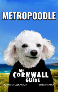Metropoodle - My Cornwall Guide